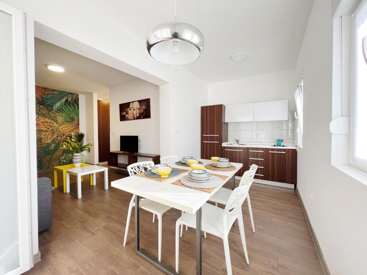 Apartments Teodora Maria Novigrad Istria Buitenkant foto